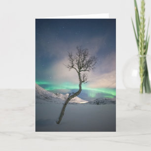 Northern Lights Tree Card