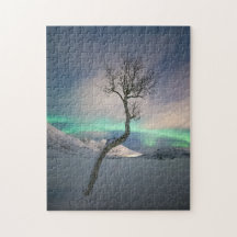 Northern Lights Tree