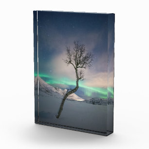 Northern Lights Tree Photo Block