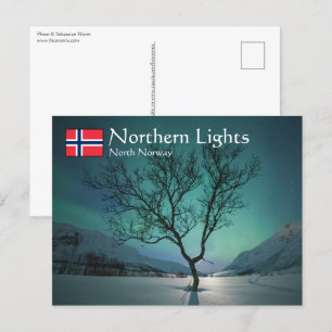 Northern Lights Tree Postcard