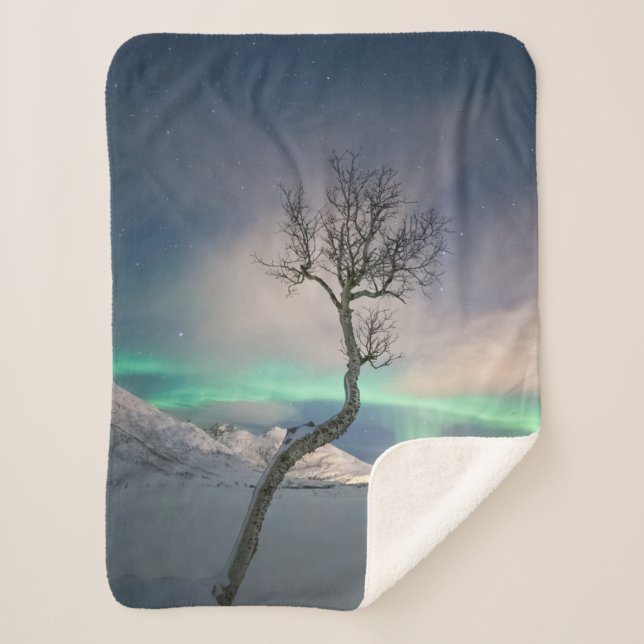 Northern Lights Tree Sherpa Blanket (Front)