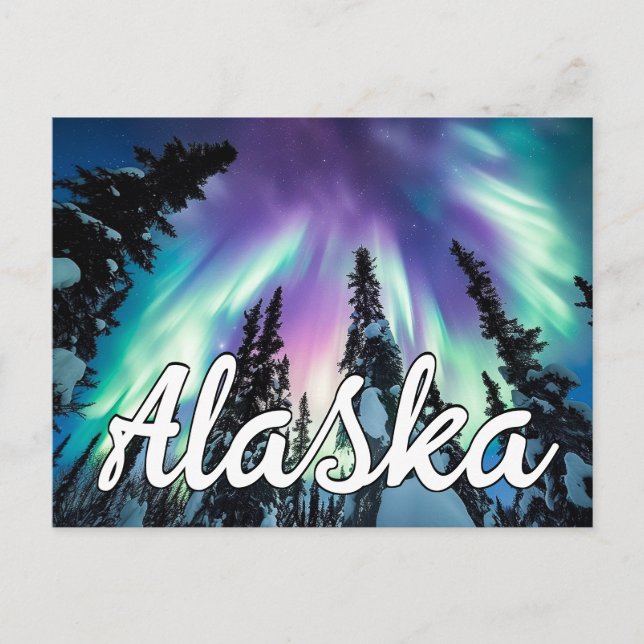 Northern Lights Winter Forest Alaska Typography Postcard (Front)