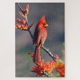 Northern Male Cardinal Jigsaw Puzzle