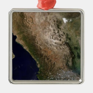 Northern Mexico 2 Metal Tree Decoration