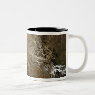 Northern Mexico Two-Tone Coffee Mug