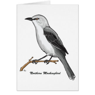 NORTHERN MOCKINGBIRD