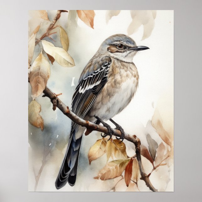 Northern Mockingbird Bird Art Print Poster (Front)