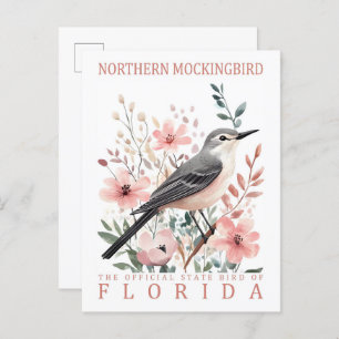 Northern Mockingbird Bird of Florida USA Travel Postcard