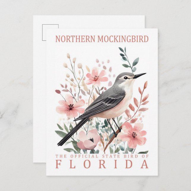Northern Mockingbird Bird of Florida USA Travel Postcard (Front/Back)