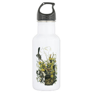 Northern Mockingbird by Audubon 532 Ml Water Bottle