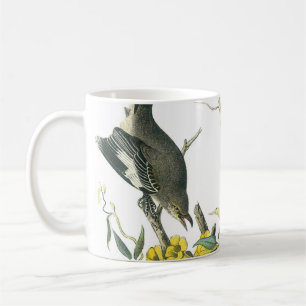 Northern Mockingbird by Audubon Coffee Mug