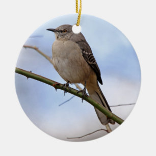 Northern Mockingbird Ornament