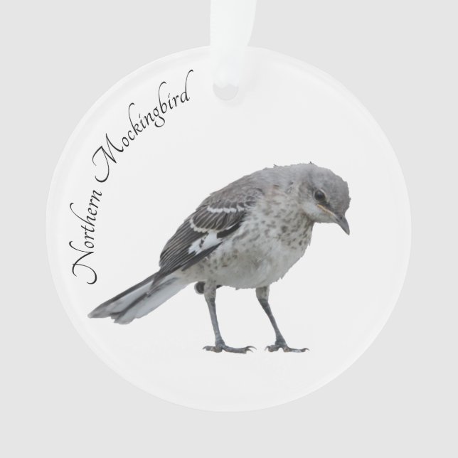 Northern Mockingbird Ornament (Front)