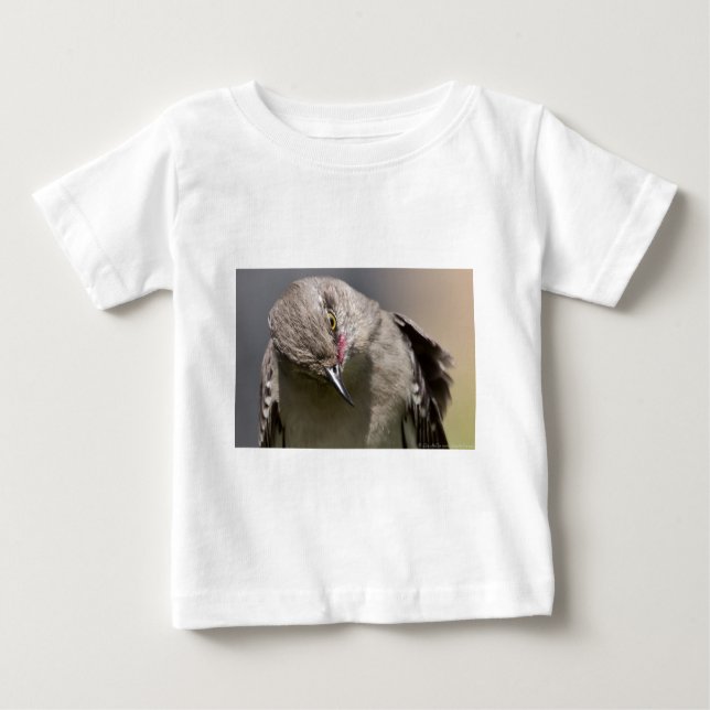 Northern Mockingbird takes a Bow Apparel & Gifts Baby T-Shirt (Front)