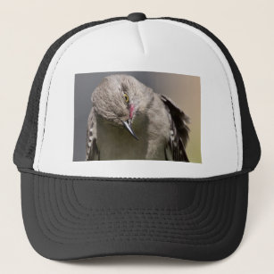 Northern Mockingbird takes a Bow Apparel & Gifts Trucker Hat