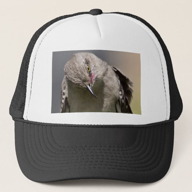 Northern Mockingbird takes a Bow Apparel & Gifts Trucker Hat (Front)