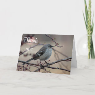 Northern mockingbird thank you card