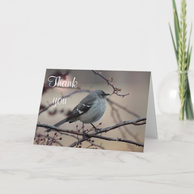 Northern mockingbird thank you card (Front)