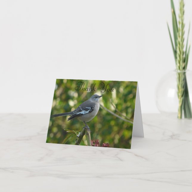 Northern Mockingbird with Flowers Safety Harbour F Thank You Card (Front)