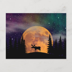 Northern Nights- Northern Lights Postcard