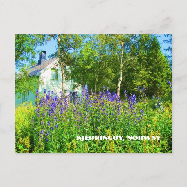 Northern Norway Postcard (Front)