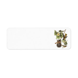 Northern Oriole by Audubon Return Address Label