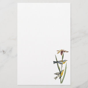 Northern Parula, John Audubon Stationery