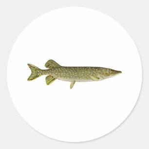 Northern Pike Art Classic Round Sticker