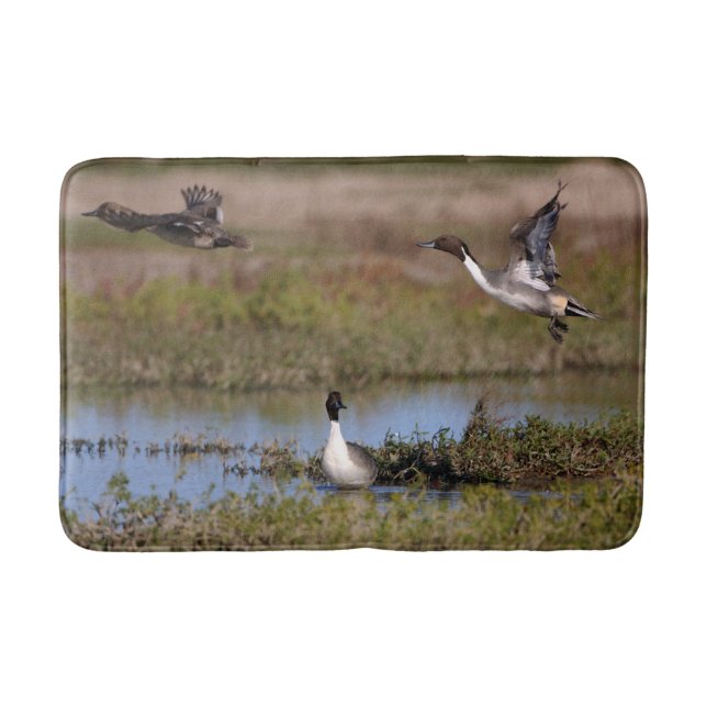 Northern Pintail Duck Flying Bath Mat (Front)