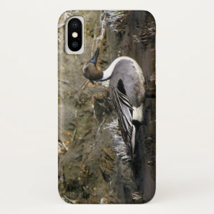 Northern Pintail Duck Lovers iPhone X Case