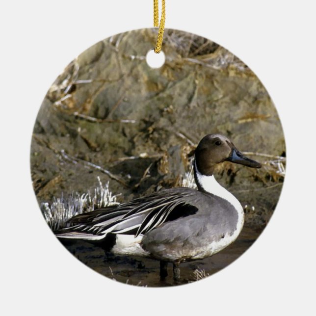 Northern Pintail Duck Lovers Ceramic Tree Decoration (Front)