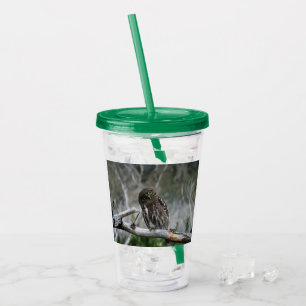 Northern Pygmy Owl Acrylic Tumbler