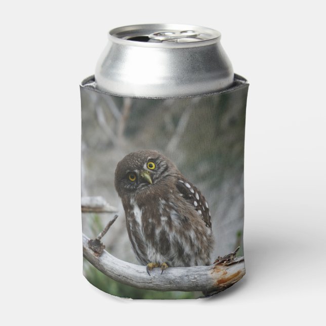 Northern Pygmy Owl Can Cooler (Can Front)