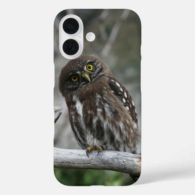 Northern Pygmy Owl Case-Mate iPhone Case (Back)