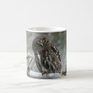 Northern Pygmy Owl Coffee Mug