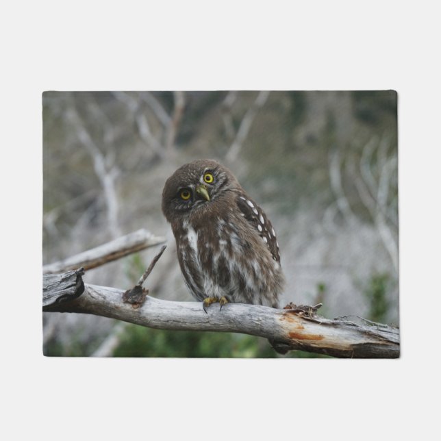 Northern Pygmy Owl Doormat (Front)