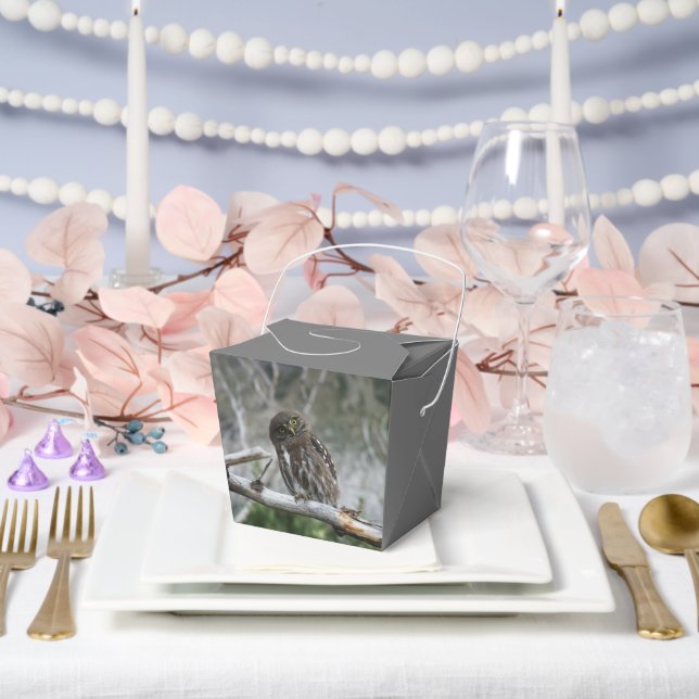 Northern Pygmy Owl Favour Box (Wedding)