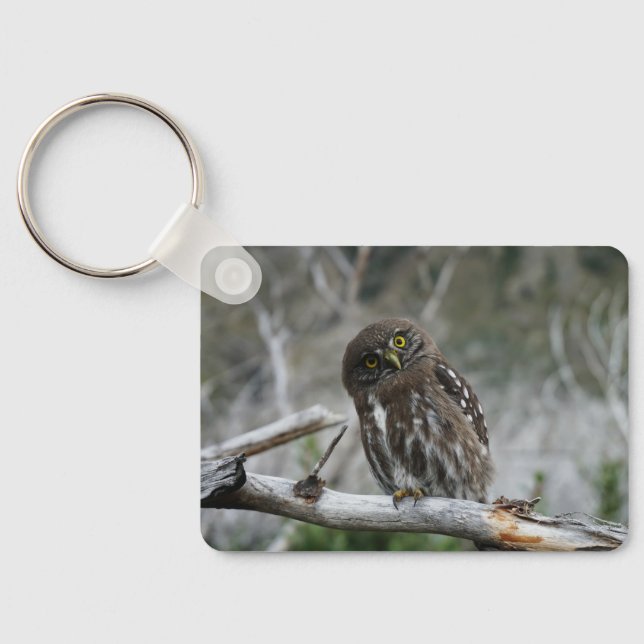 Northern Pygmy Owl Key Ring (Back)