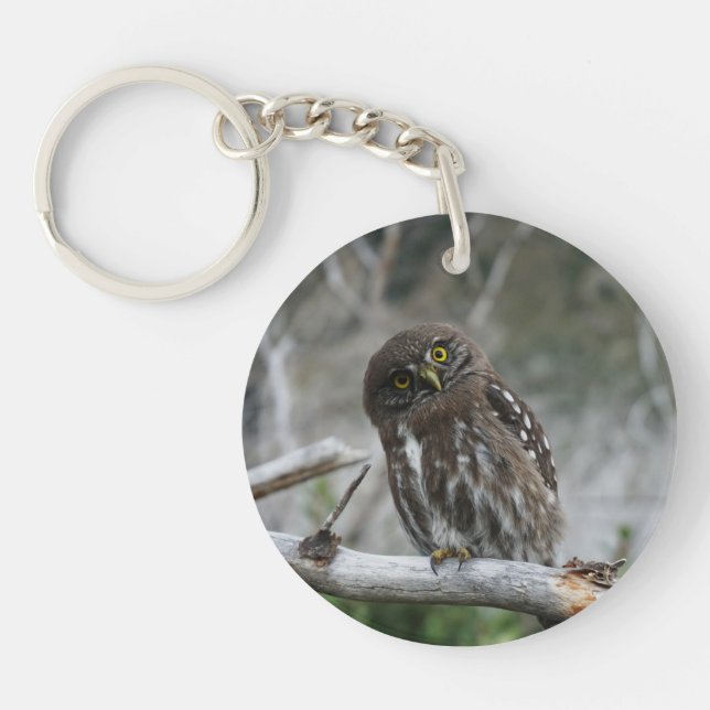 Northern Pygmy Owl Key Ring (Front)
