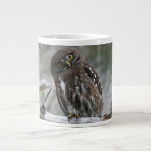 Northern Pygmy Owl Large Coffee Mug