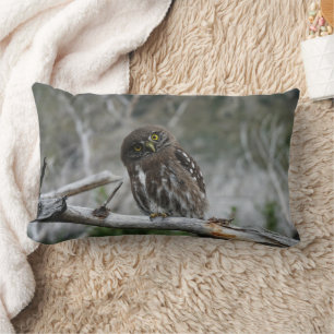 Northern Pygmy Owl Lumbar Pillow