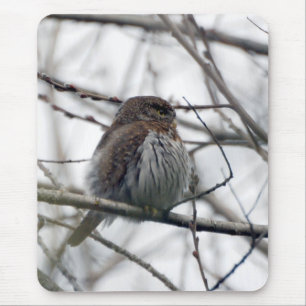 Northern Pygmy Owl Mouse Pad
