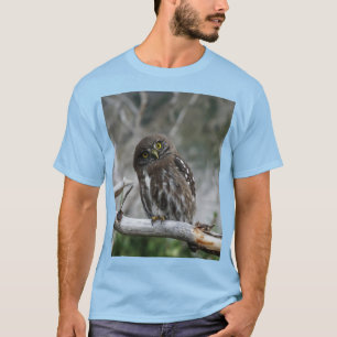 Northern Pygmy Owl T-Shirt