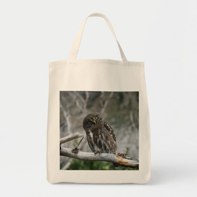 Northern Pygmy Owl Tote Bag (Front)