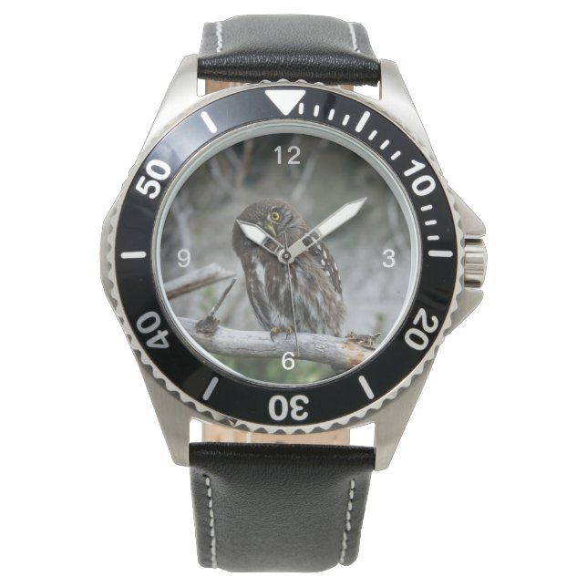 Northern Pygmy Owl Watch (Front)