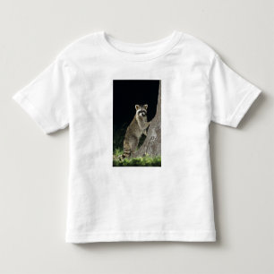 Northern Racoon, Procyon lotor, adult at tree Toddler T-Shirt