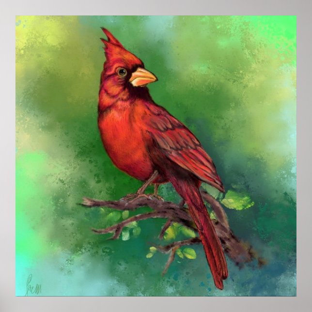 Northern Red Cardinal Bird Poster - Painting (Front)
