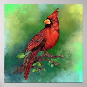 Northern Red Cardinal Bird Poster Painting