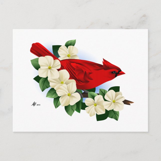 Northern Red Cardinal Postcard (Front)