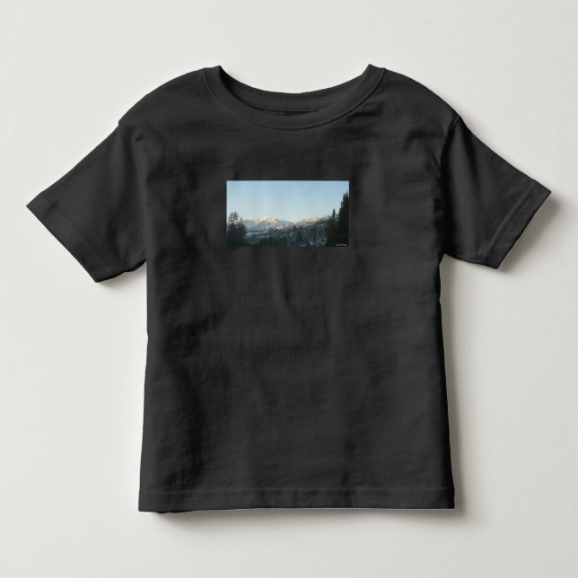 Northern Rocky Mountain Forest  Toddler T-Shirt (Front)